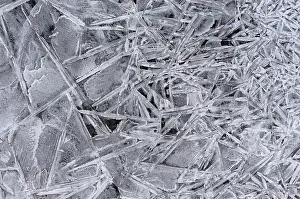 Biesbosch: Close up of a frozen shore line with abstract ice patterns