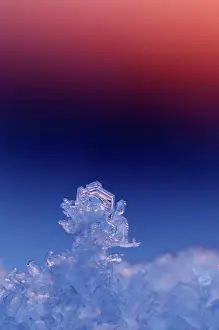 Vennen: Close up of ice crystals