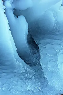 Formed: Close up of an ice formation formed in the vegetation alongs