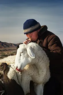 Smoking: Close up of Kyrgyz shepard on horseback with wounded sheep o