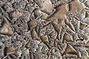 Cracked: Close up detail of Makgadikgadi salt pan, Botswana