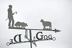 Vane: Close up of ornamental Welsh weather vane with