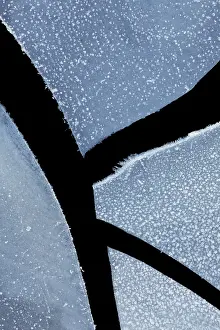 Breaking: Close-up of broken ice, The Netherlands