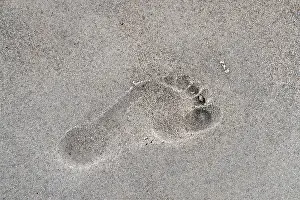 Imprint: Close-up of human footprint in the sand on sandy