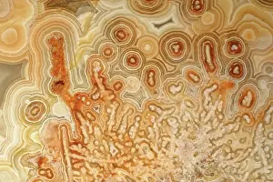 Agate: Agate