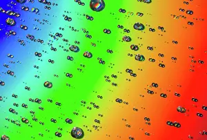 Prismatic: Closeup of water drops on field of beautiful rainbow