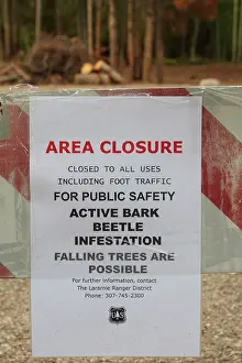 Invade: Closure signs because of dying trees from Pine Bark Beetle