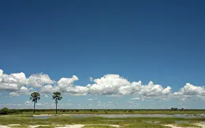 Palme: Clouds on the horizon near Twee Palme