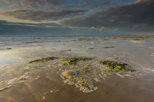 Oever: Clouds above the waddensea at low tide during sunset