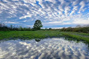 Mirrored: Cloudy sky reflected in water, Goldenstedter Moor