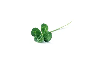 Clover: Clover