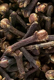 Spices: Cloves