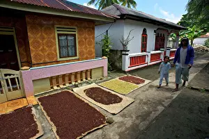 Agricultre: Cloves - drying in the streets