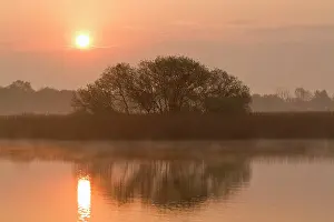 Clump: Clump of trees at sunrise reflected in Hickling Broad