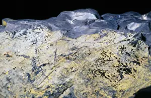 Anthracite: COAL - (Hard) var. Anthracite. Carbonized vegetable matter
