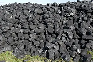 Rally: Coal - pile at Steam Engine Rally Cheltenham Racecourse