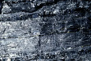 Bituminous: COAL - (soft). var. Bituminous Carbonized vegetable matter