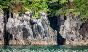 Tongass: Detail of the coast of Alaska. Alaska. USA