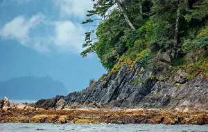 Tongass: Detail of the coast of Alaska. Alaska. USA