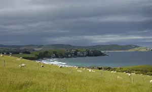 Foam: Coastal Landscape The Catlins New Zealand