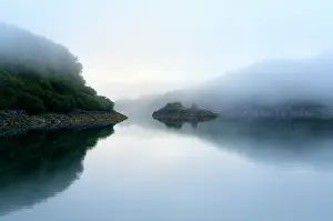 Kodiak: Coastal landscape in fog bank over water