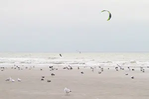 Ijmuiden: Coastal landscape with kitesurfer and gulls