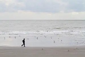 Ijmuiden: Coastal landscape with walker and gulls