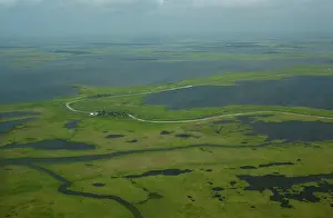 Channels: Coastal Louisiana Wetlands