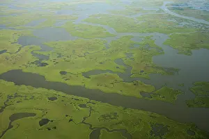 Channels: Coastal Louisiana Wetlands