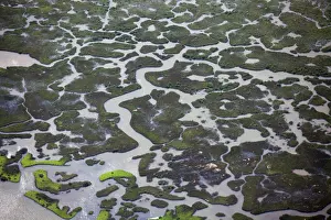 Channels: Coastal Louisiana Wetlands