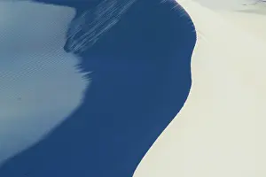 Michele Menegon: Coastal Sand Dunes