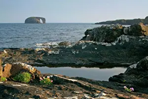 Holm: Coastal Scenery - basalt cliffs and rock arch Dore Holm