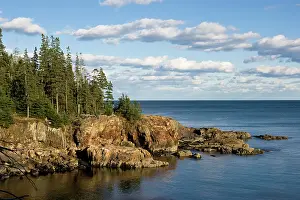 Bodies: Coastline in the Acadia National Park, Maine, New