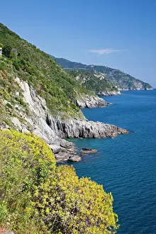 Terrain: Coastline of the Cinque Terre as seen from