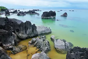 Habtiat: Coastline - before a storm on the beach
