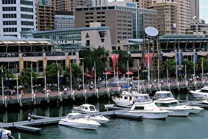 Cockle: Cockle Bar Wharf at Darling Harbour Sydney