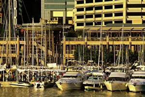 Cockle: Cockle Bay during the Boat Show Darling Harbour