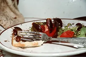 Plate: COCKROACHES - ON DINNER PLATE