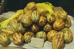 Cocoa: Cocoa bean
