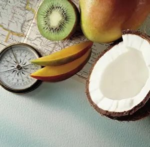 Compass: Coconut