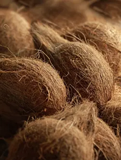 Nucifera: Coconut, Cocos nucifera, Several whole coconuts