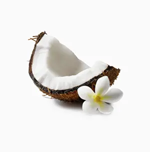 Segment: Coconut, Cocos nucifera, segment with shell, and a Tahitian