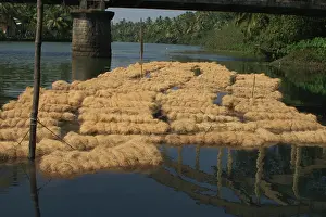 Soaking: Coconut husk fibre - These bales of fibre are soaking