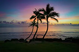 Hawaii: Three coconut palm tree, Sunrise, Hauula, Windward