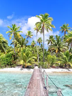 Pontoon: Coconut trees, pontoon and deserted beach near Tetamanu