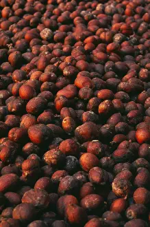 Yemen: Coffee