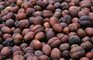 Yemen: Coffee
