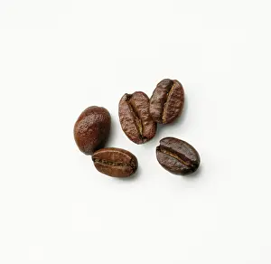 Arabica: Coffee
