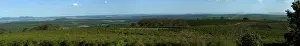 Arabica: Coffee in Brazil