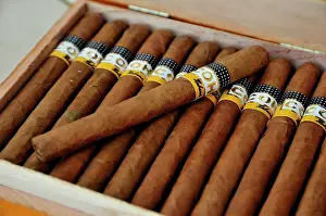 Boxes: Cohiba cigars in a tobacco shop in Havana, Cuba